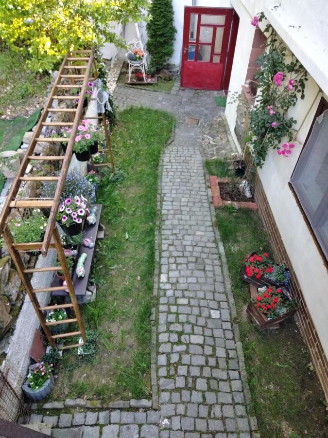 Salas-Dum Pro Spolecnou Dovolenou Az 11 Osob Esterno foto