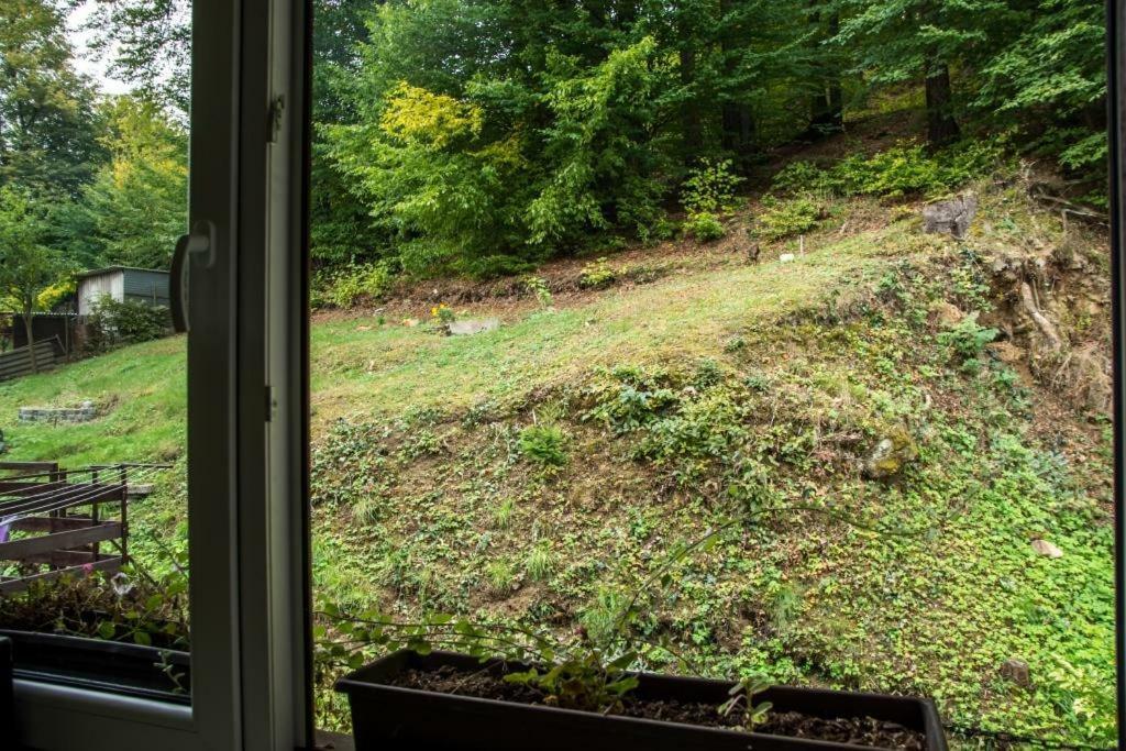 Salas-Dum Pro Spolecnou Dovolenou Az 11 Osob Esterno foto
